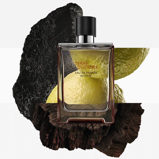 Perfume Hermès Terre D'Hermès Masculino Intense Eau de Parfum
